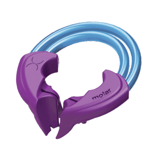 Twin Ring Molar